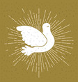 Color background with silhouette pigeon peace Color background with silhouette pigeon peace vector image
