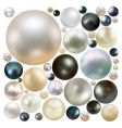Coloured pearls vector image