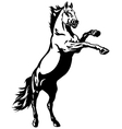 Rearing mustang vector image