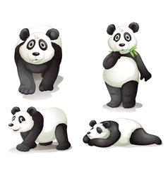 A panda vector image