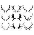 Antlers deer and reindeer horns vector image