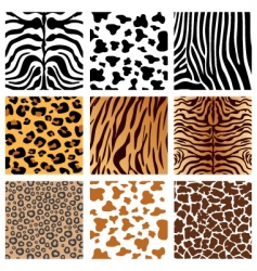 Animal prints vector image