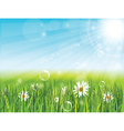 Spring vector image