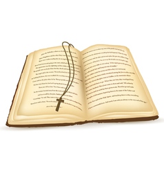 Old bible vector image
