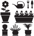 Pot plants vector image