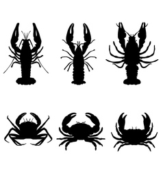 Crawfish and crab Crawfish and crab vector image