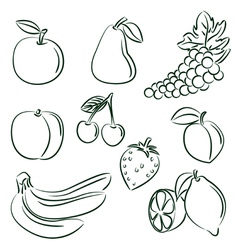 Fruit doodle set vector image