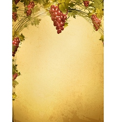 Red grape vine frame vector image
