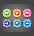 Food labels vector image