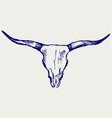 Head skull of bull Head skull of bull vector image