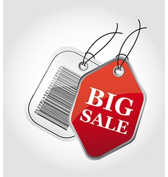 Big sale label vector image