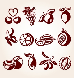 Fruit icon set vector image
