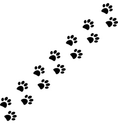 Paw trail vector image