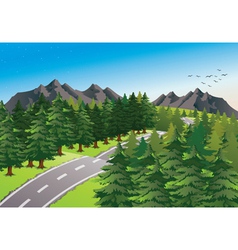 Road in beautiful nature vector image