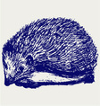 Hedgehog animal vector image