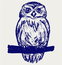 Great Owl vector image
