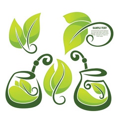 Healthy herbal tea vector image