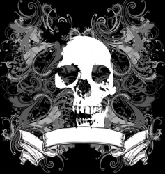 Skull vector image