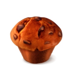 Muffin detailed vector image