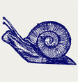 Snail sketch vector image
