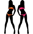 Girl in bikini vector image