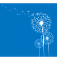 Dandelion on blue vector image