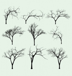 Set of silhouettes of trees vector image