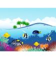 Sealife tropical vector image