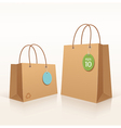 Recycle shopping brown bag vector image
