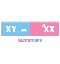 Ultrasound vector image
