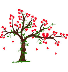 Love Tree with Heart liana and vine vector image