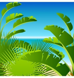 Tropical palm on sea background vector image