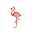 Flamingo-380x400 vector image