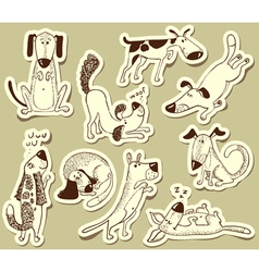 Dogs vector image