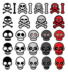 Skulls vector image
