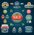 Set of stickers labels tags and icons vector image