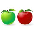 Apples vector image