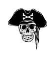 Pirate in hat vector image
