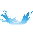 Water Splash vector image