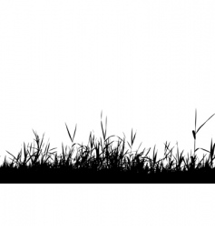 Grass silhouette black vector image