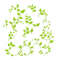 Green branches vector image