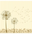 Vintage dandelions vector image