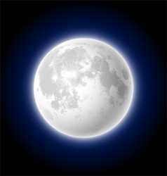 Moon Moon vector image