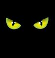 Cat eyes vector image
