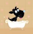 Dog bath vector image