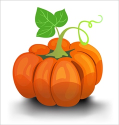 Pumpkin vector image