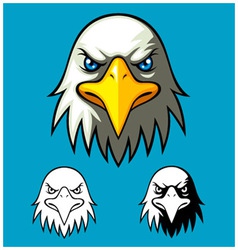 Bald Eagle Head vector image