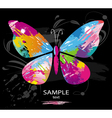 Butterfly splashes vector image
