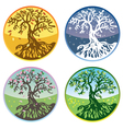 Tree in four seasons Tree in four seasons vector image