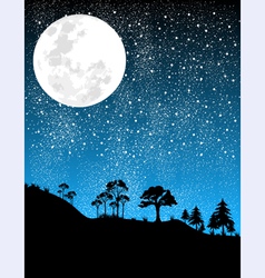 Night-moon vector image